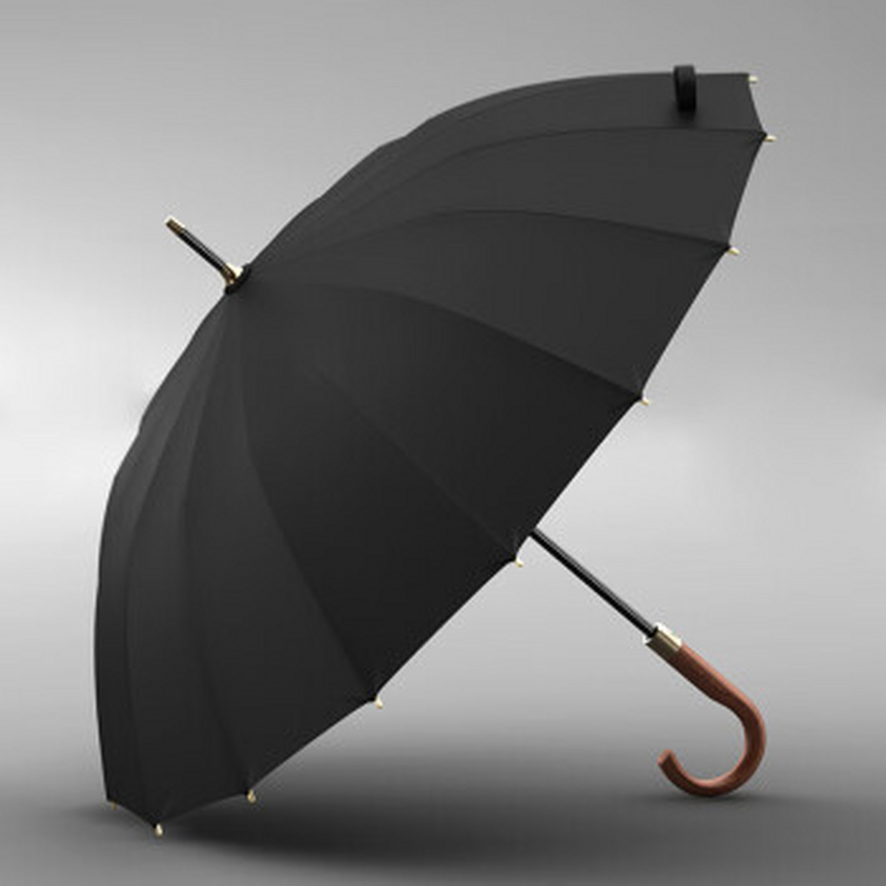 一把老黑伞   吃完早饭,我撑开家里的那把老黑伞 和弟弟一起去上  