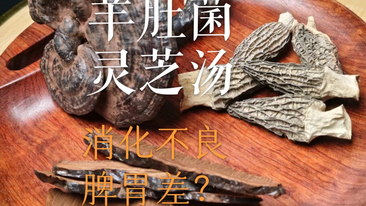 小孩大人消化不良脾胃差?试试羊肚菌灵芝汤菌香味浓郁喝了脾胃好