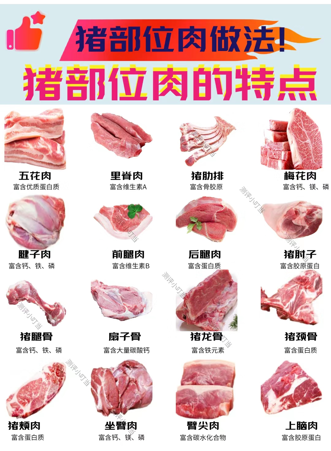 猪肉名称部位对应图图片