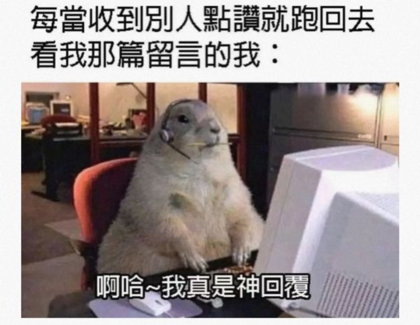 闲的发慌的幽默图片图片