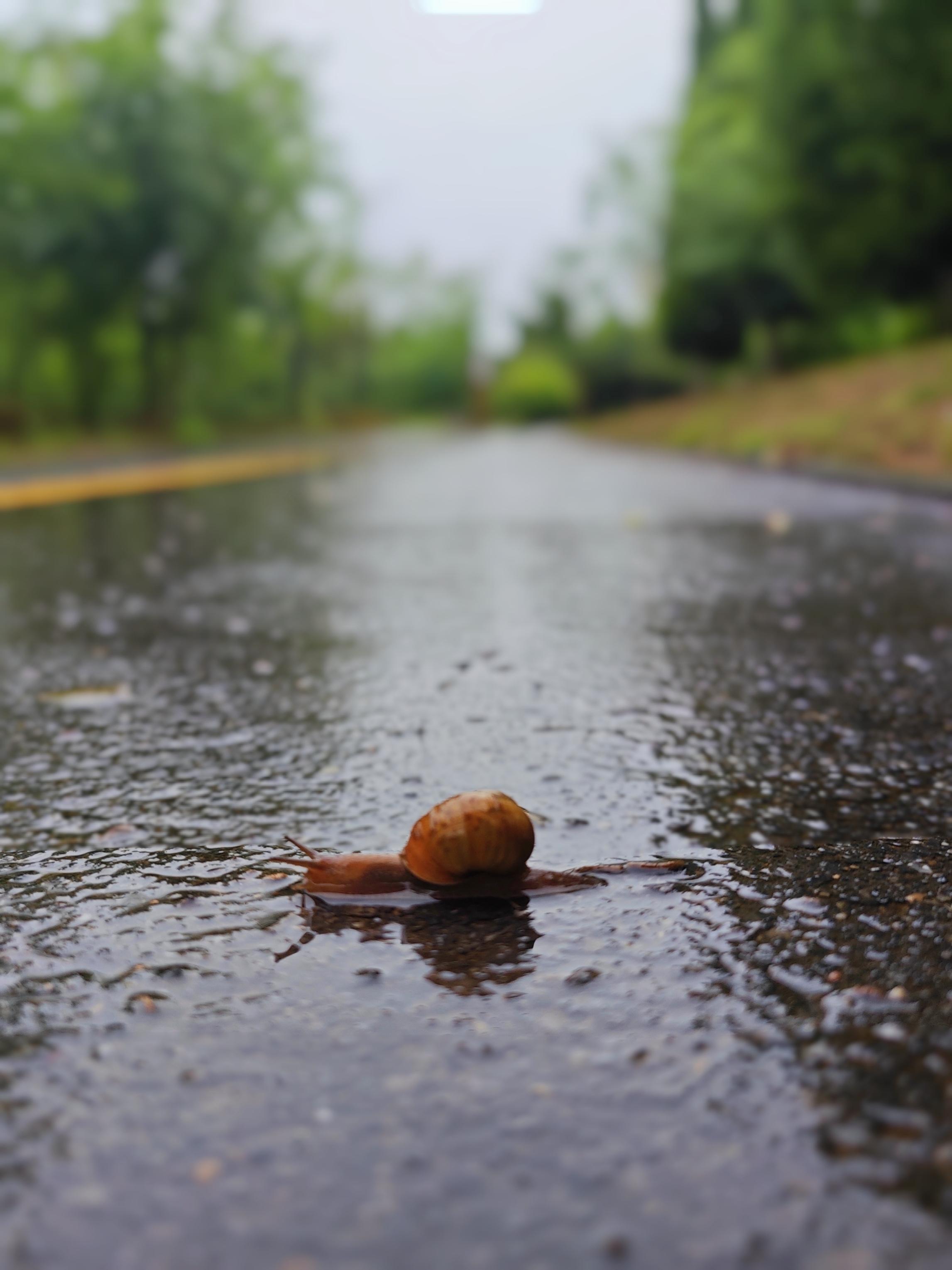 夏天下雨图片景色大图图片