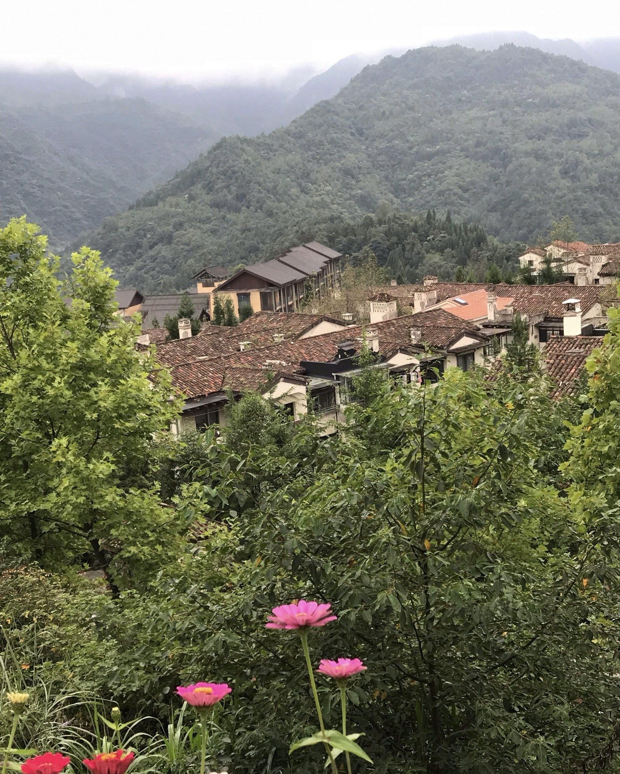 重庆武隆仙女山镇,让旅行成为一种休行  重庆武隆仙女山镇是国家级