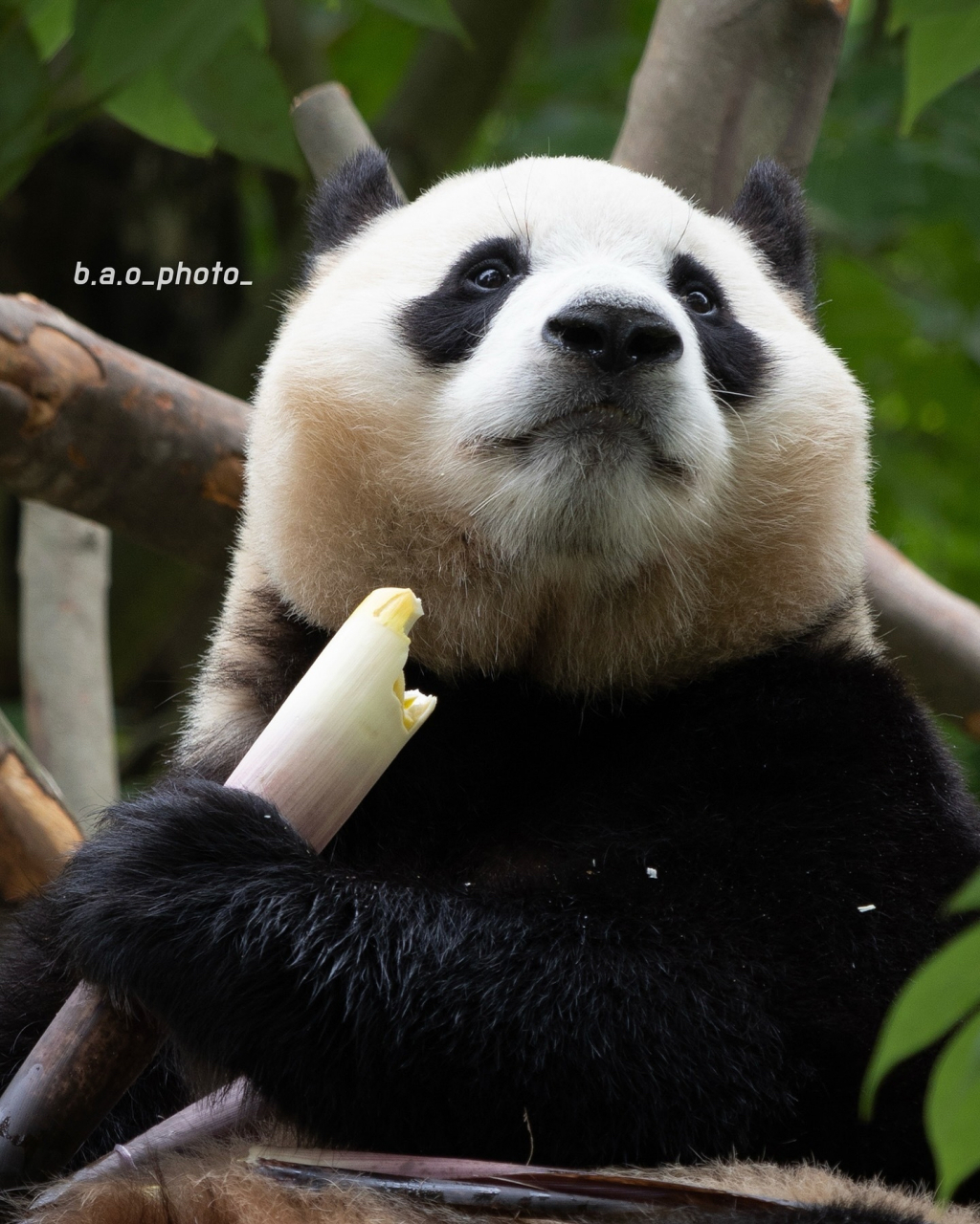 这小表情好认真啊,网友:别管宝宝看啥,总之我是第一次以这个视角看