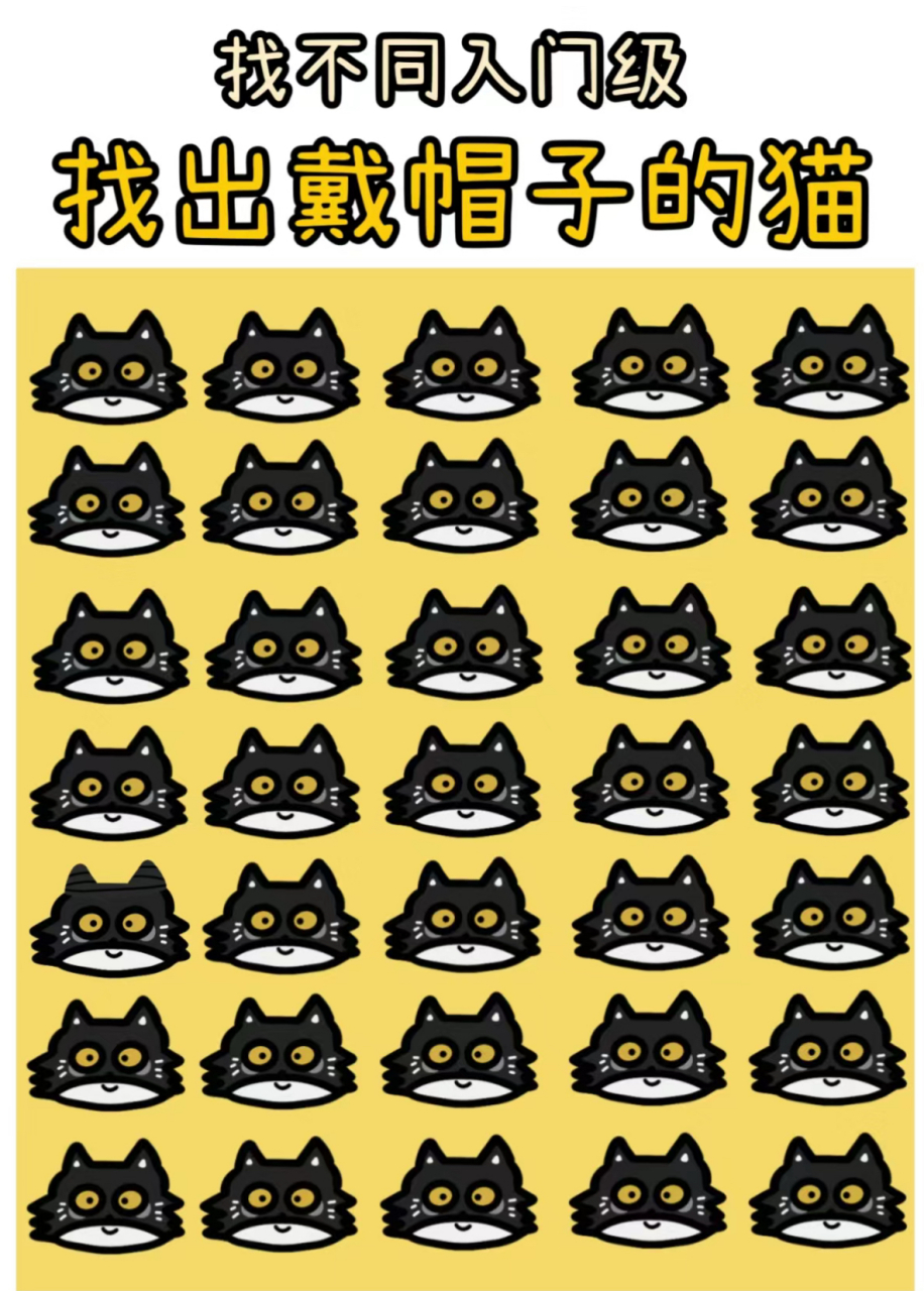 这个很简单 入门级的比眼力 你能在10秒内找出 戴帽子的猫咪吗?