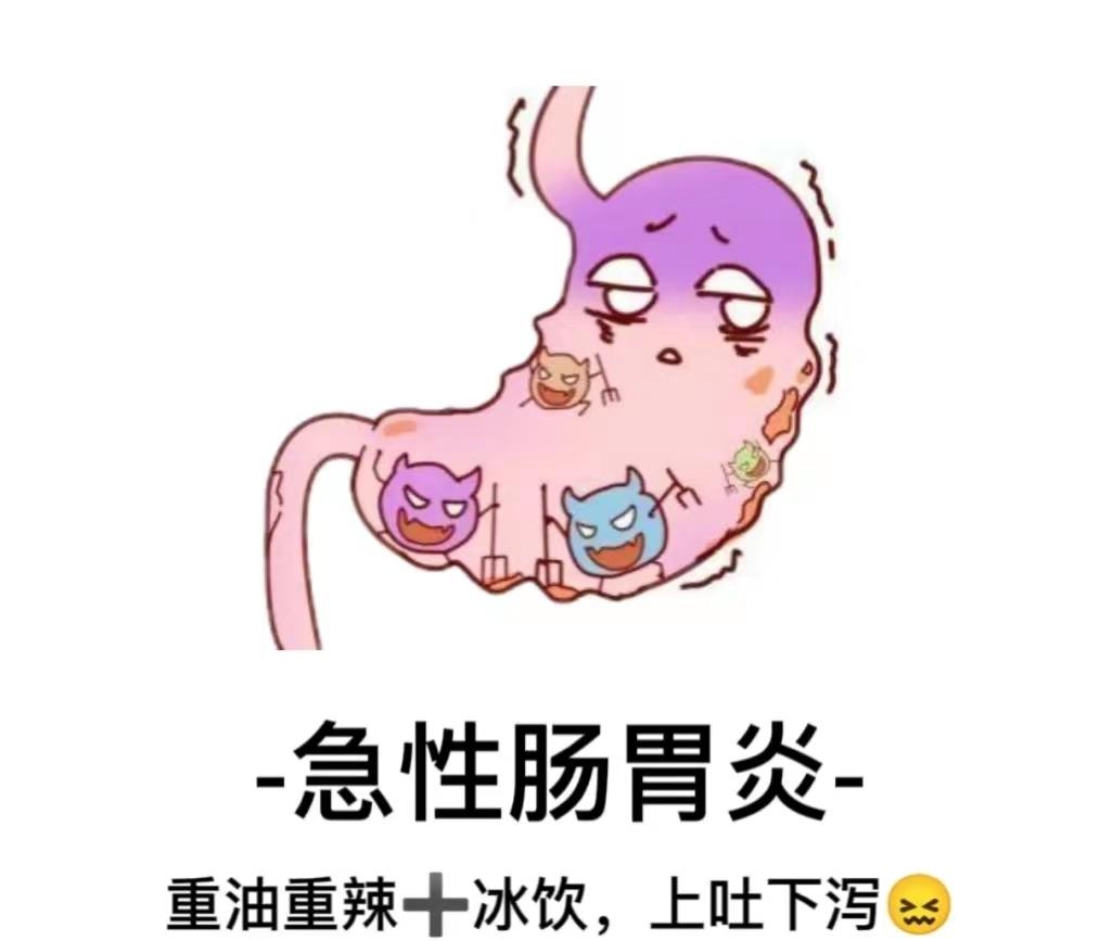 急性肠胃炎,也常被称为急性胃肠炎,其主要表现症状包括以下几个方面
