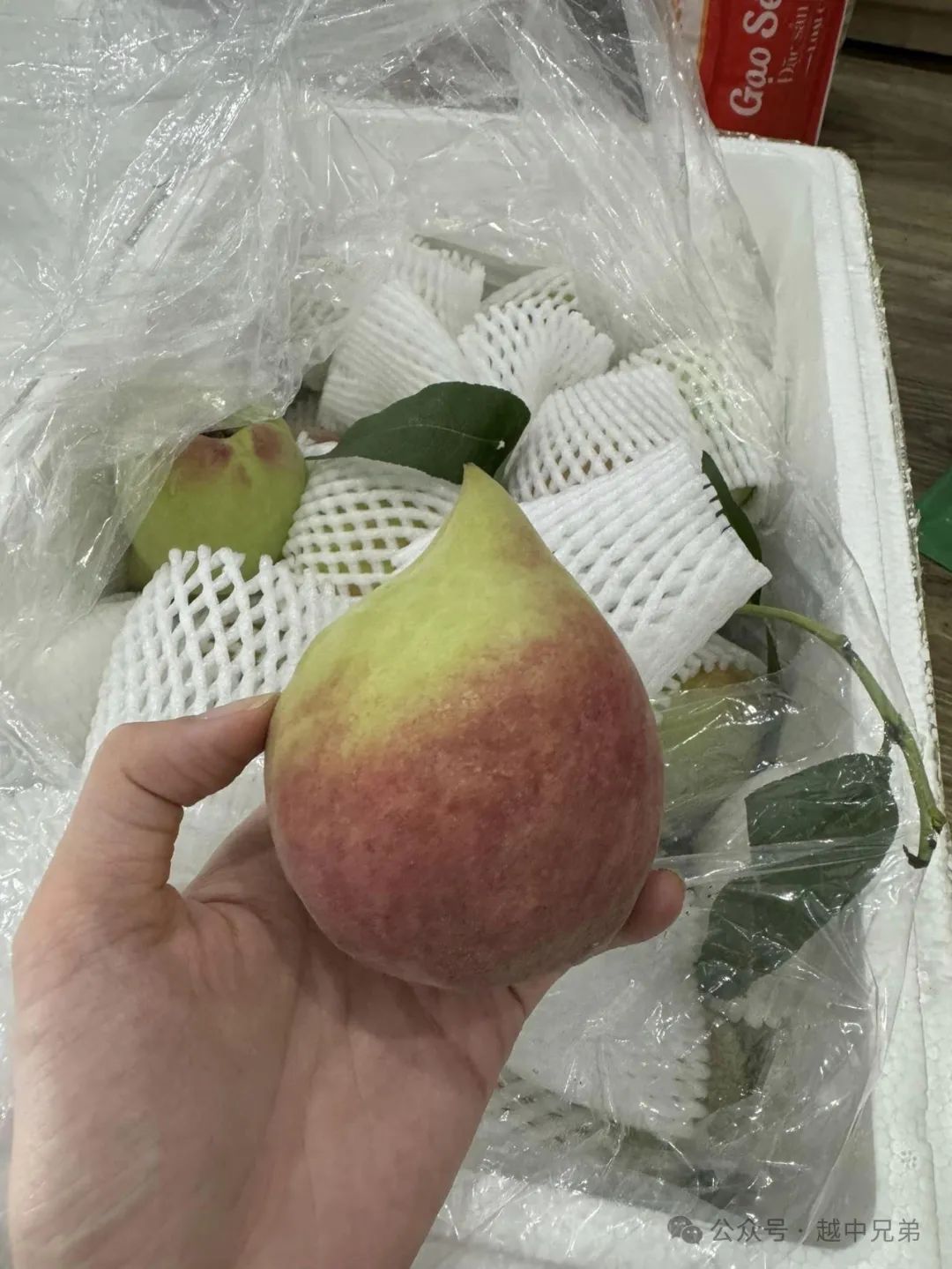 云南蒙自 "鹰嘴桃"在越南当季热销,每公斤高达43元 仍供不应求