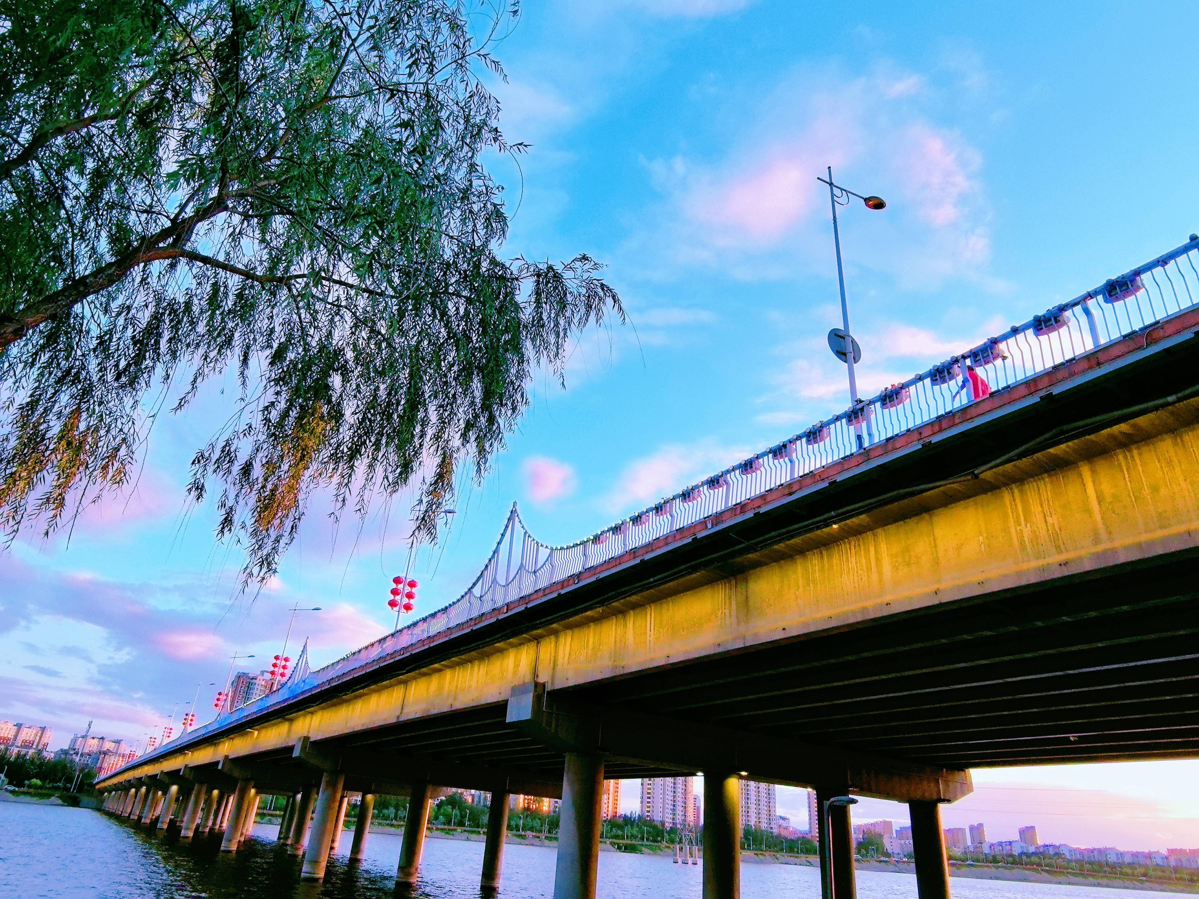 辽宁省锦州市:桥边风景,绚烂多彩,万物盛极,美好无限