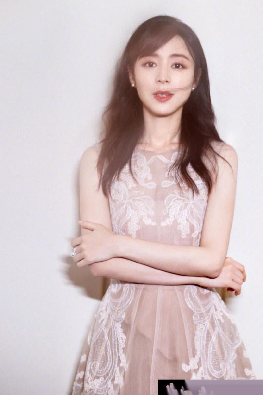 张静初刺绣纱裙