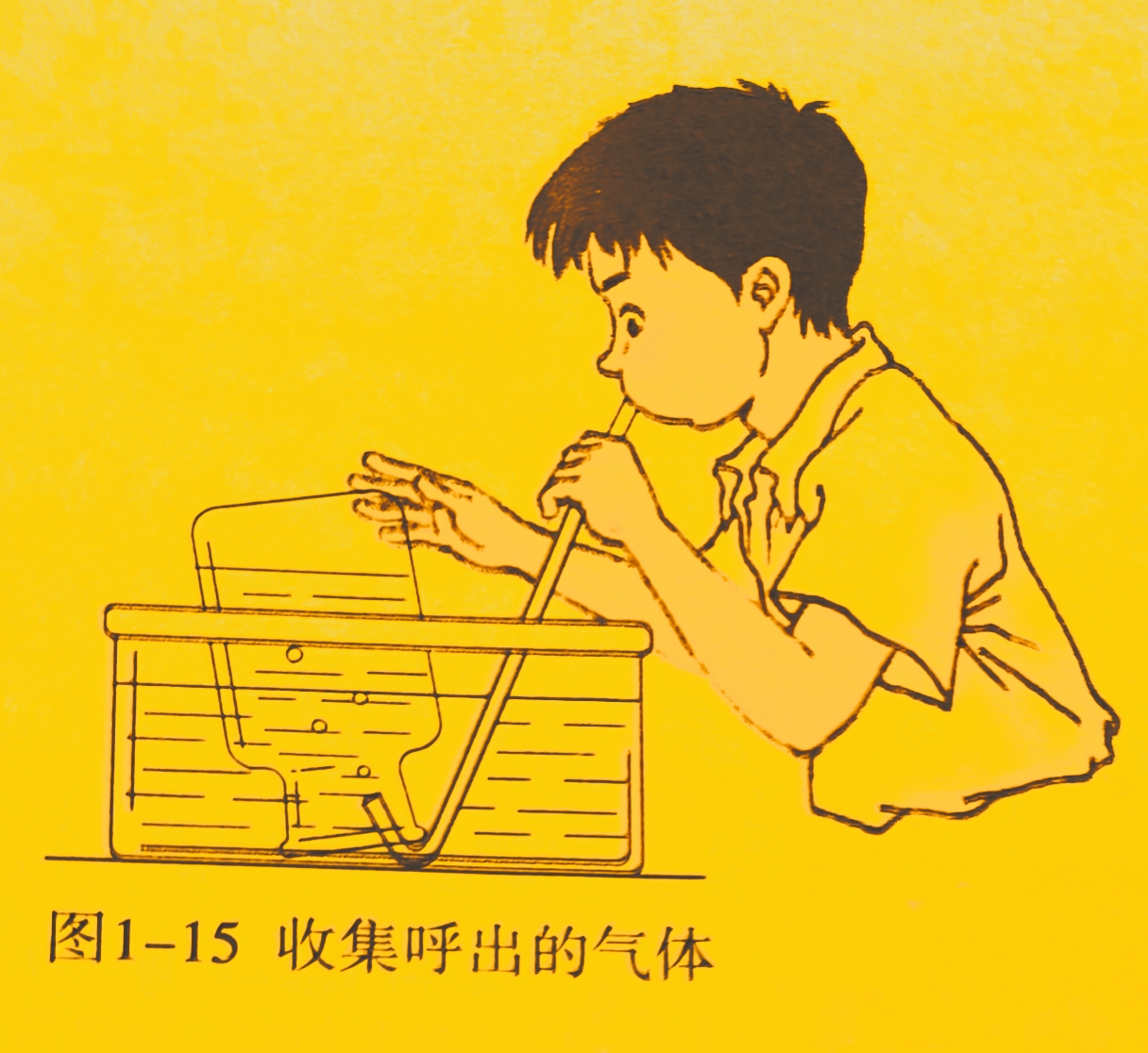 教育动态挑战赛# 九上化学