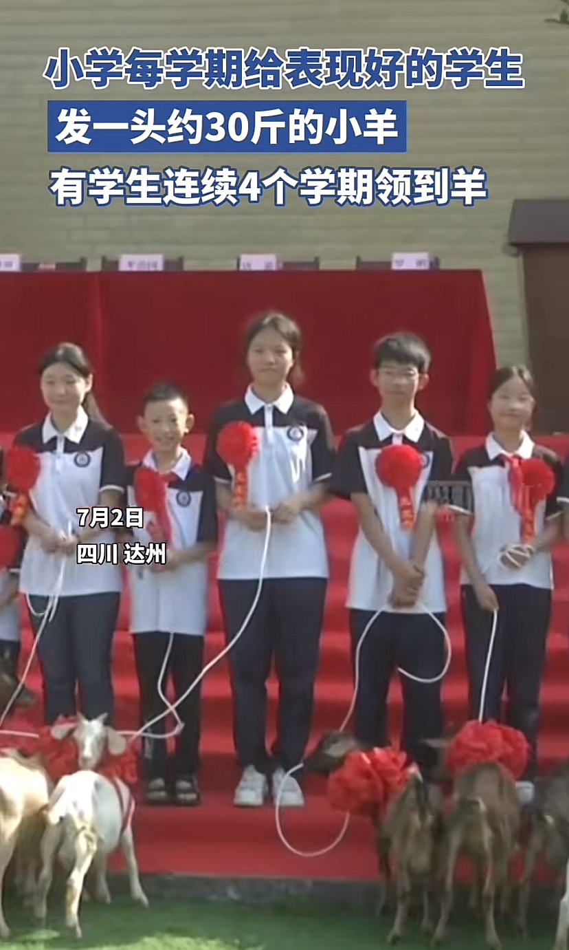 "四川达州,一小学每学期给表现好的学生,发一头约30斤的小羊,有学生