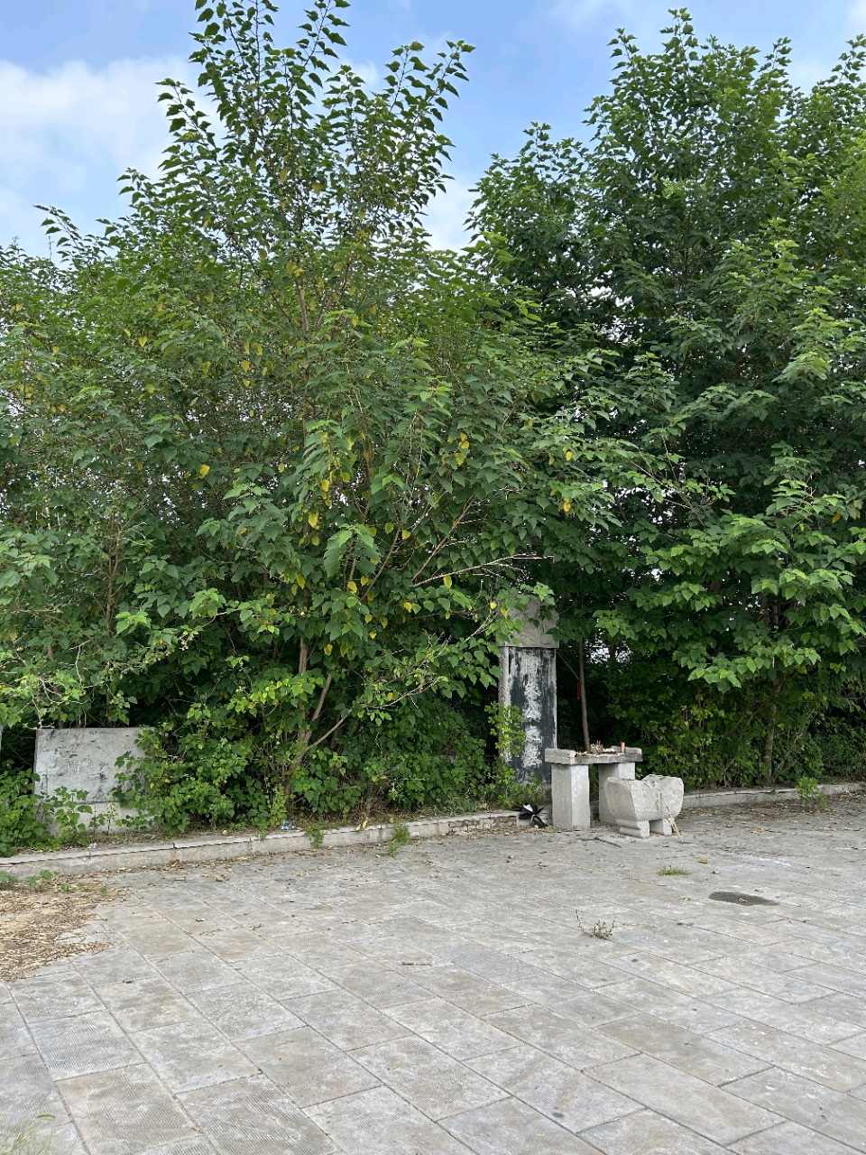 定陶范蠡墓  游学至定陶范蠡墓 67 67给孩子们分享范蠡的故事