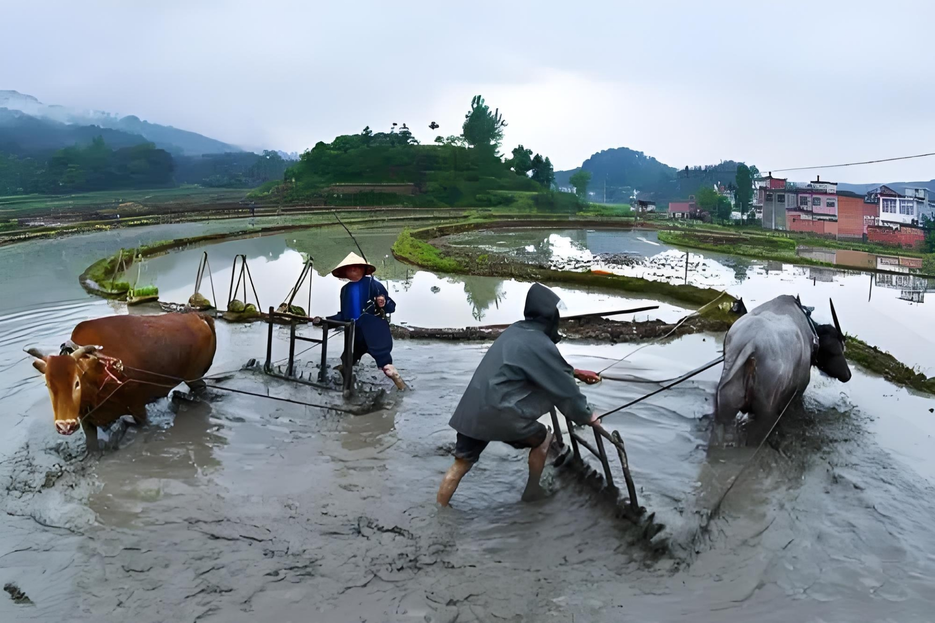 上联:勤勤恳恳耕田地; 下联:老老实实过生活. 横批:别无他求.