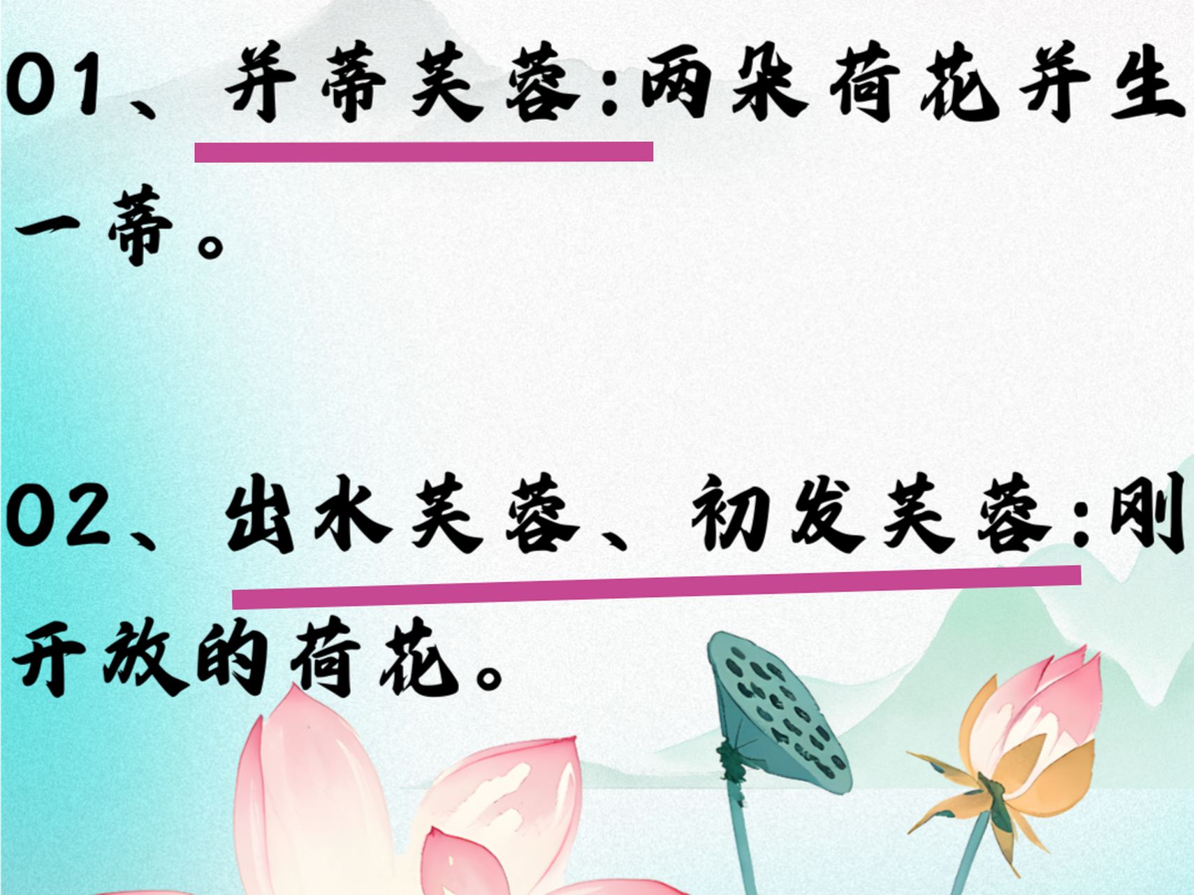 形容荷花的词语词语有很多,而且都是一些很美的词语,像楚楚动人,婀娜