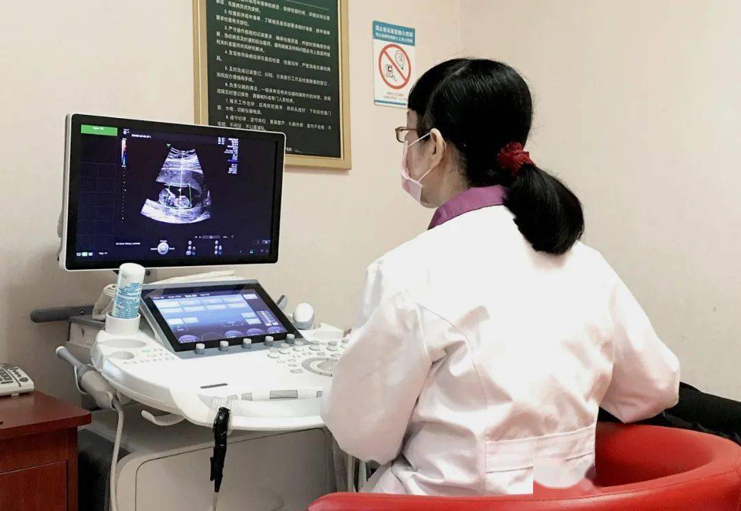 犬病治疗:宠物健康守护者的最新进展