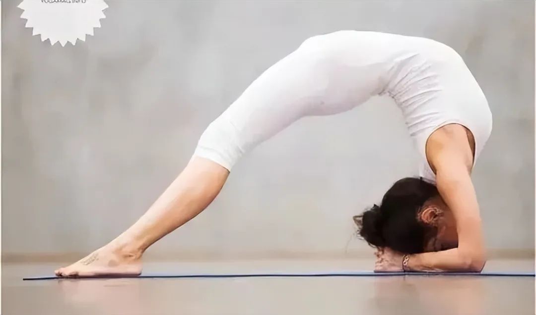 瑜伽轮式,开胸开肩,灵活脊柱,好处多多!