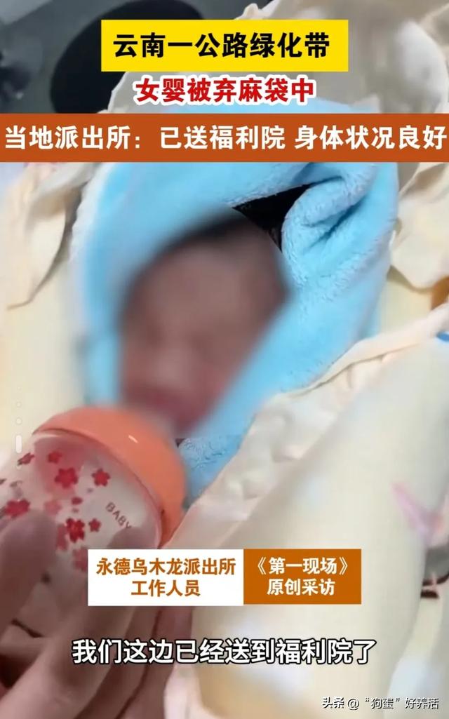 天津福利院弃婴图片图片