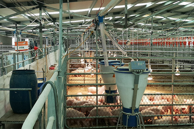 凤凰植保节:推动现代养殖业的重要力量!智能化养殖设备前景分析