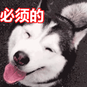 十大适合家养没体味的狗排名