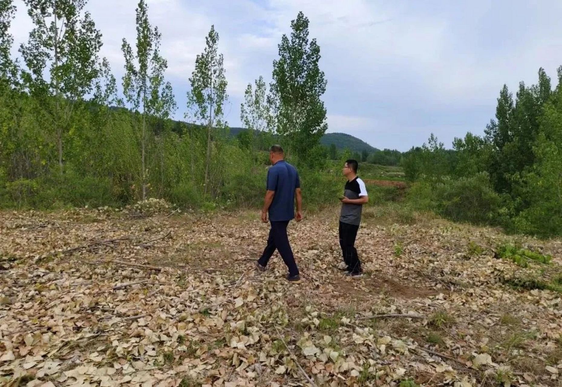 为切实扛起耕地保护和粮食安全政治责任,昌乐县乔官镇人大紧扣耕地