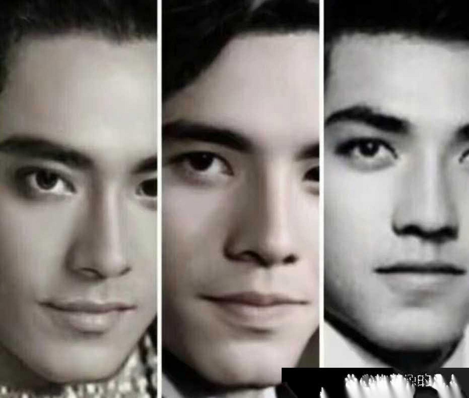 尔冬升,秦沛,姜大卫三兄弟