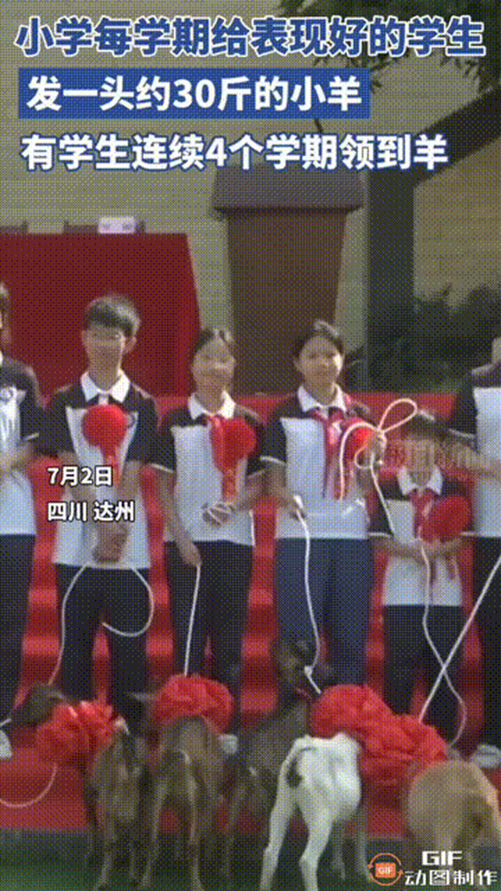 近日四川达州,一小学每学期给"领头羊"学生发一头羊!