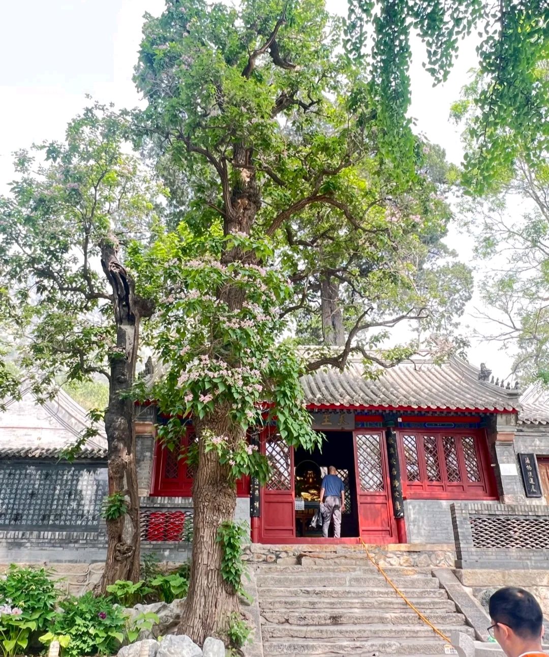 在北京凤凰岭有一龙泉寺,它坐落在