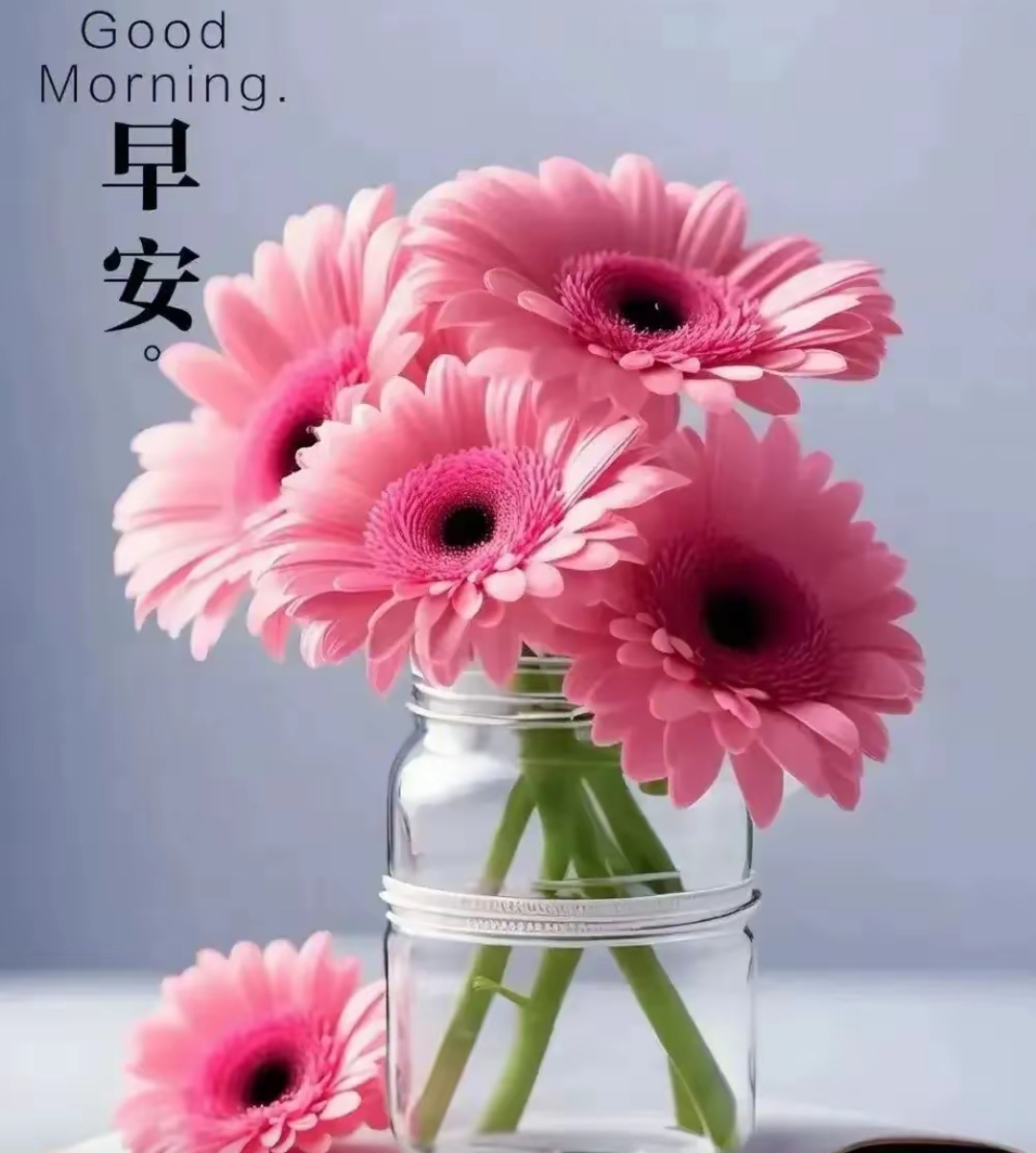 优质作者榜# #优质短图文计划#  [心]早安问候[心] 暖暖的是问候