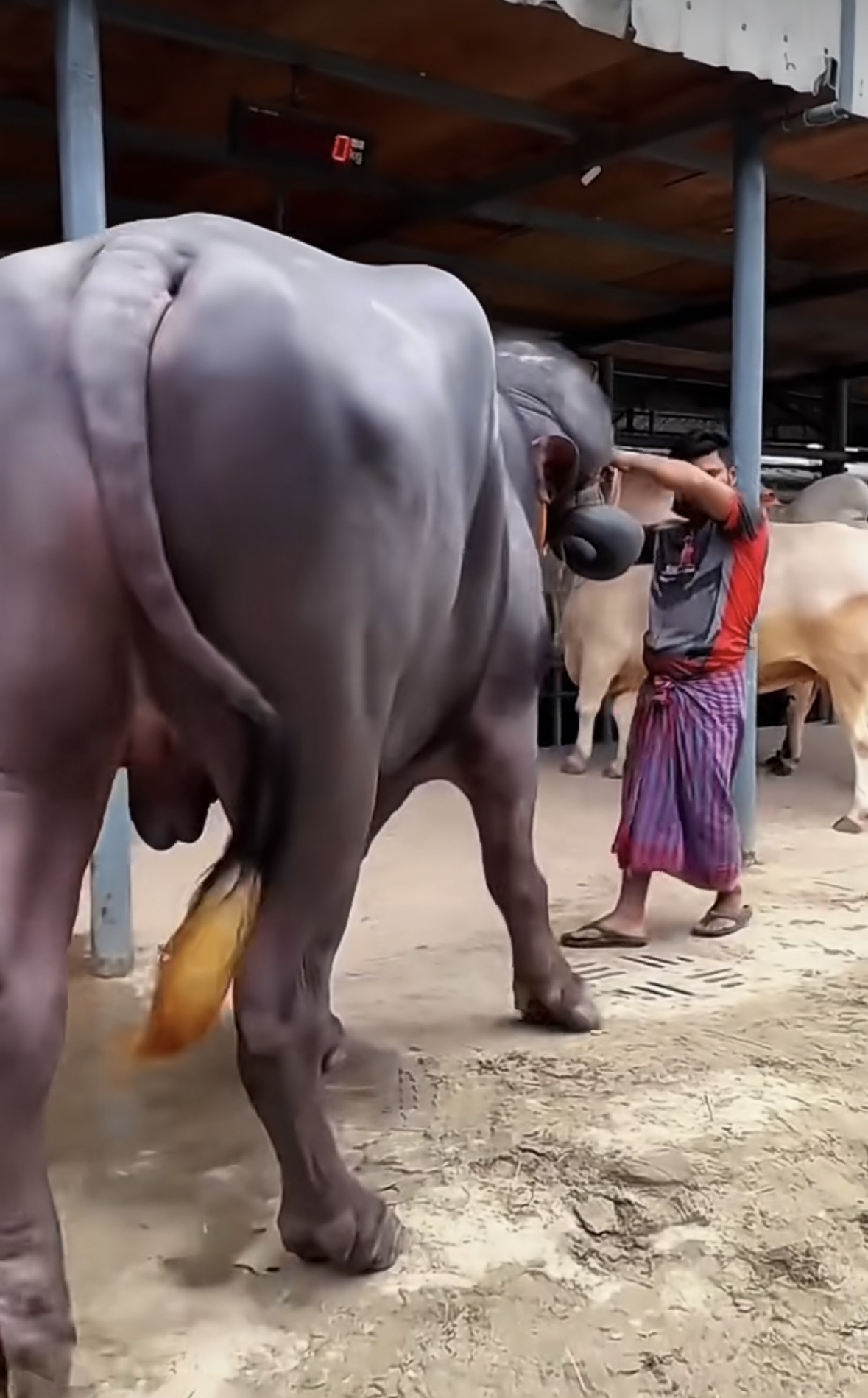 眼睛都睁不开了