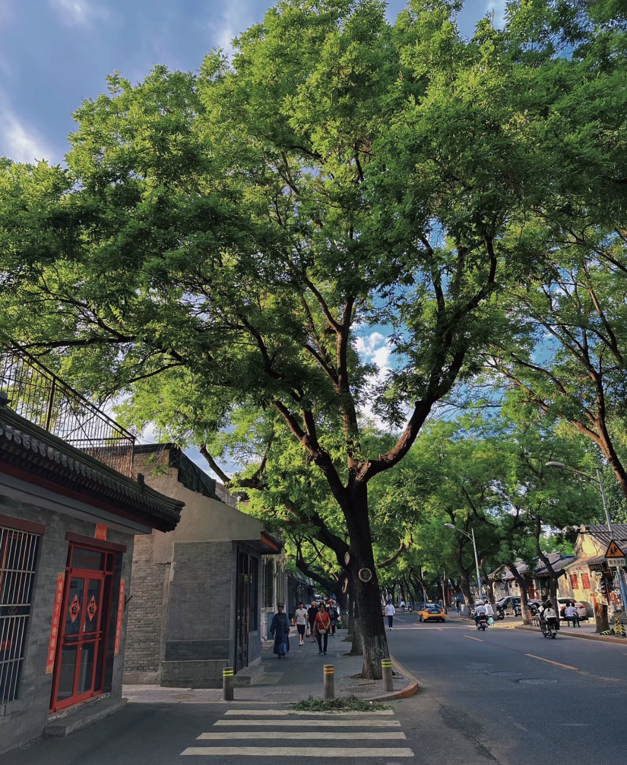 北京南池子大街,这里应该是北京城最美林荫道了吧.