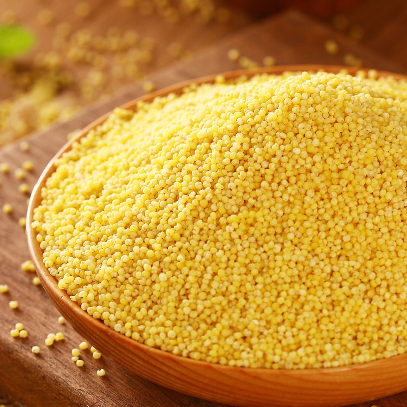 黄小米怎么选?认准这5个产地,米油厚,营养高,适合老人当早餐