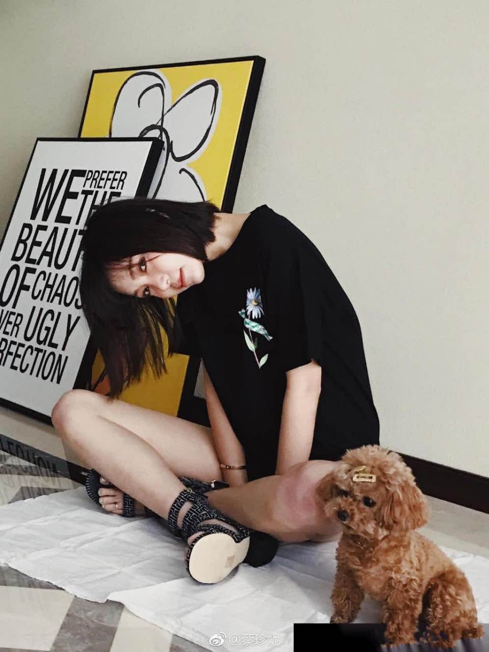 蔡珍妮今天尝试了海鸥眉合格吗