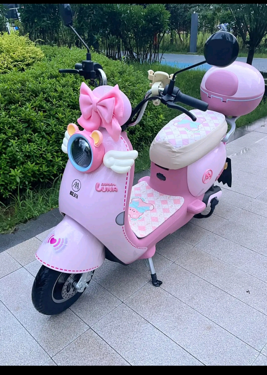 自己改装的电动车,不敢骑出去,怕被偷