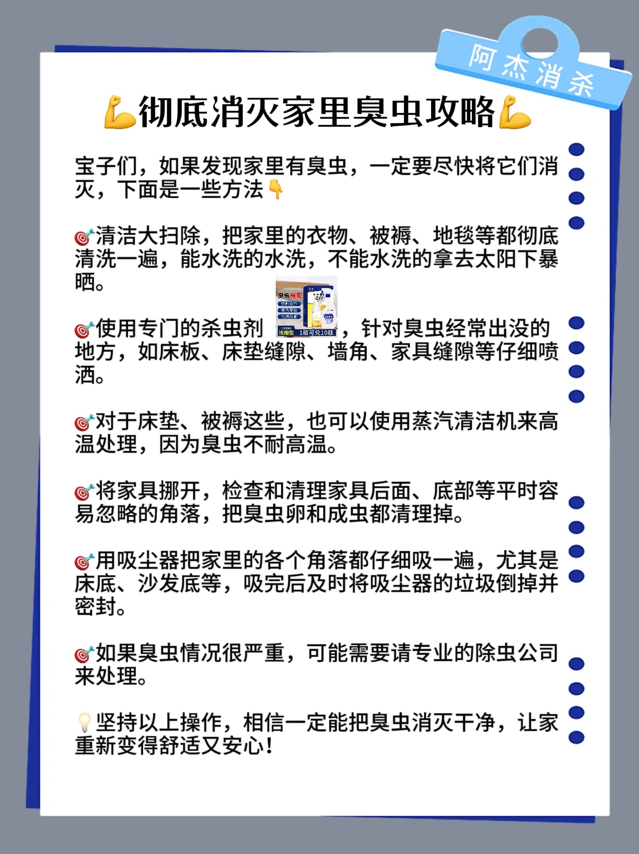 臭虫怎么消灭最彻底图片