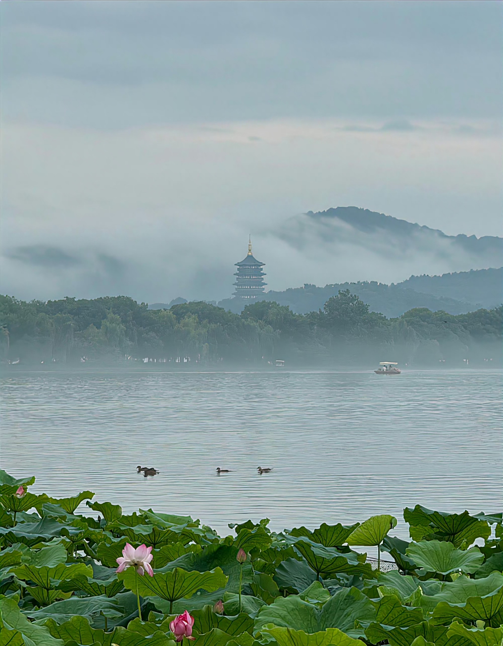 " 雨天的西湖宛如一幅水墨画 " #动态夏日征集令