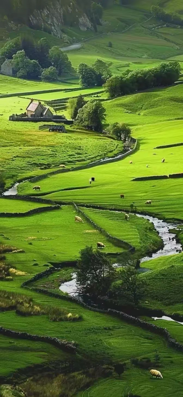 绿色系风景手机壁纸,漫步在绿色的海洋中,感受大自然的和煦与温暖