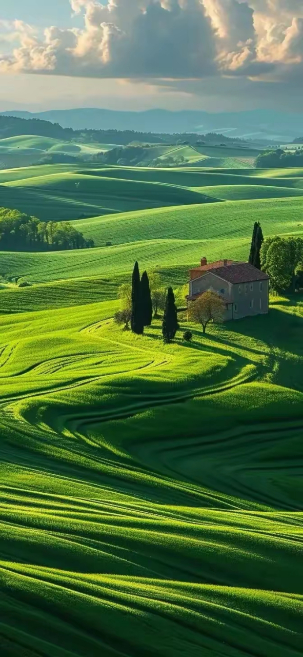 绿色系风景手机壁纸,漫步在绿色的海洋中,感受大自然的和煦与温暖