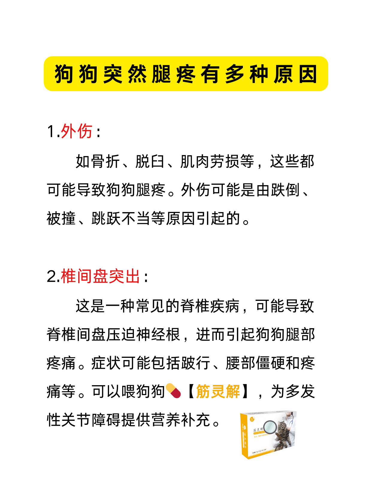 狗狗突然腿疼是什么原因,关节问题怎么办?