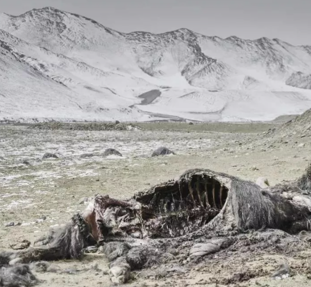 探险新疆昆仑山死亡谷的秘密,你知道有哪些?