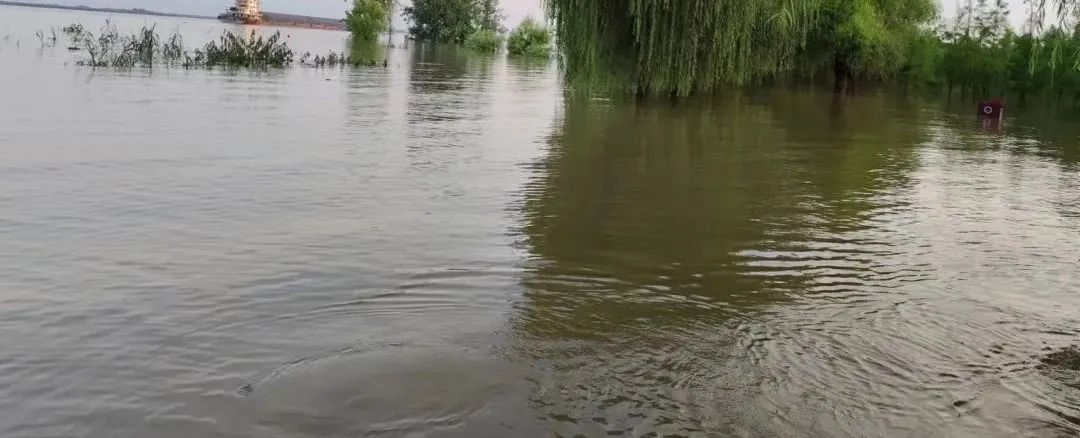 最新!汉南纱帽江滩公园临时封闭