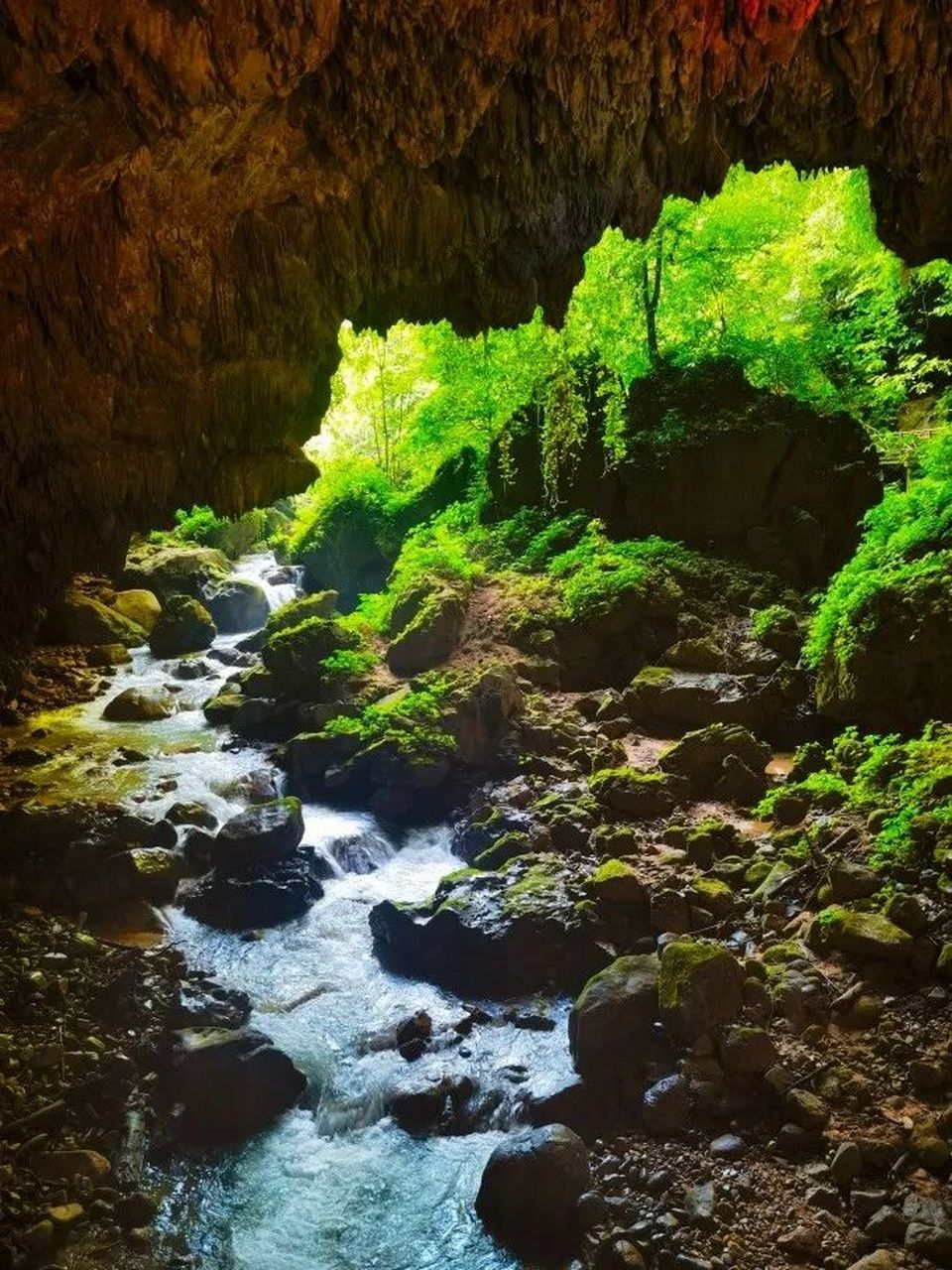 通灵大峡谷风景区图片图片