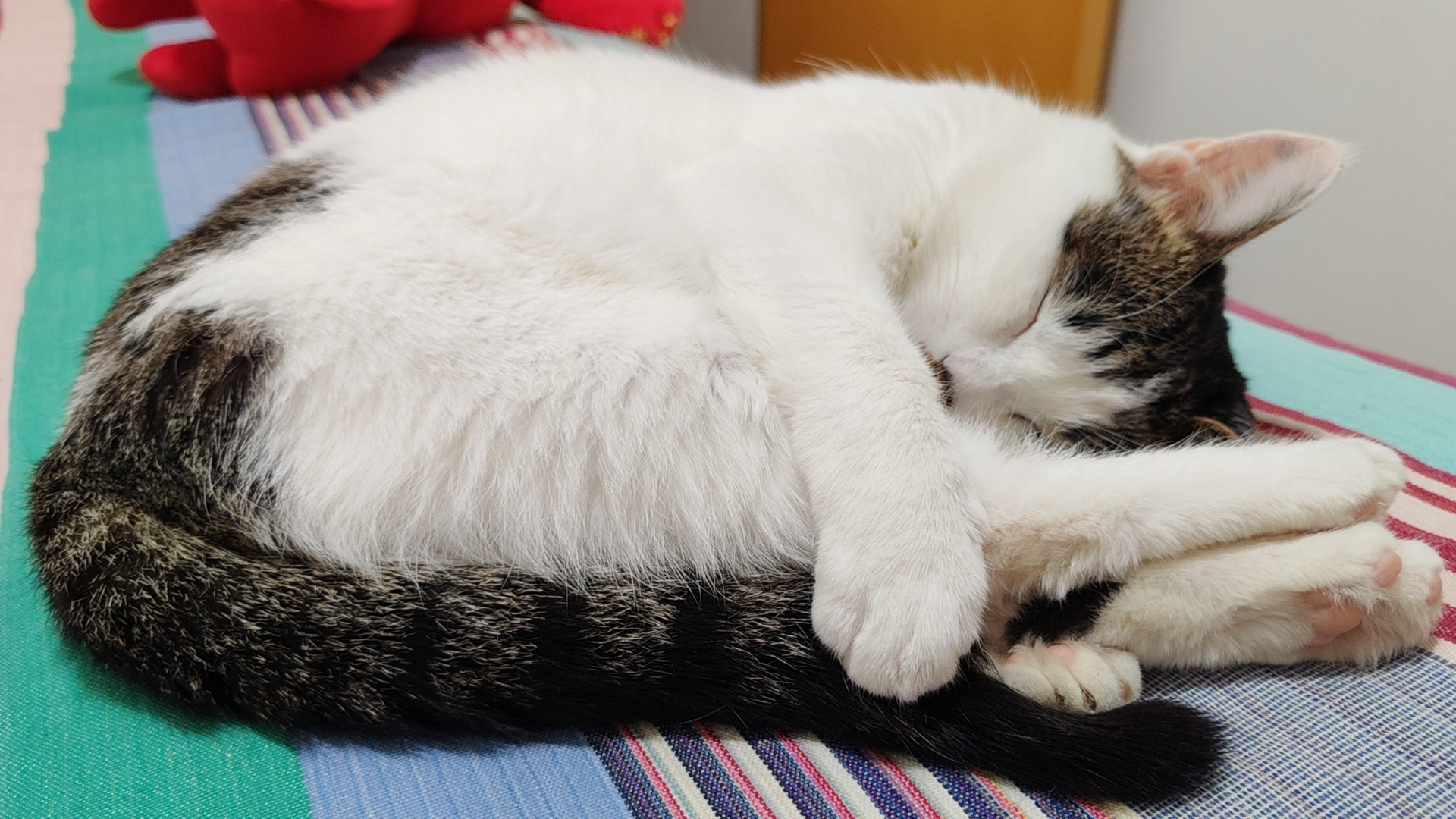 小学数学课本里,一直到现在,都保留这个长度单位