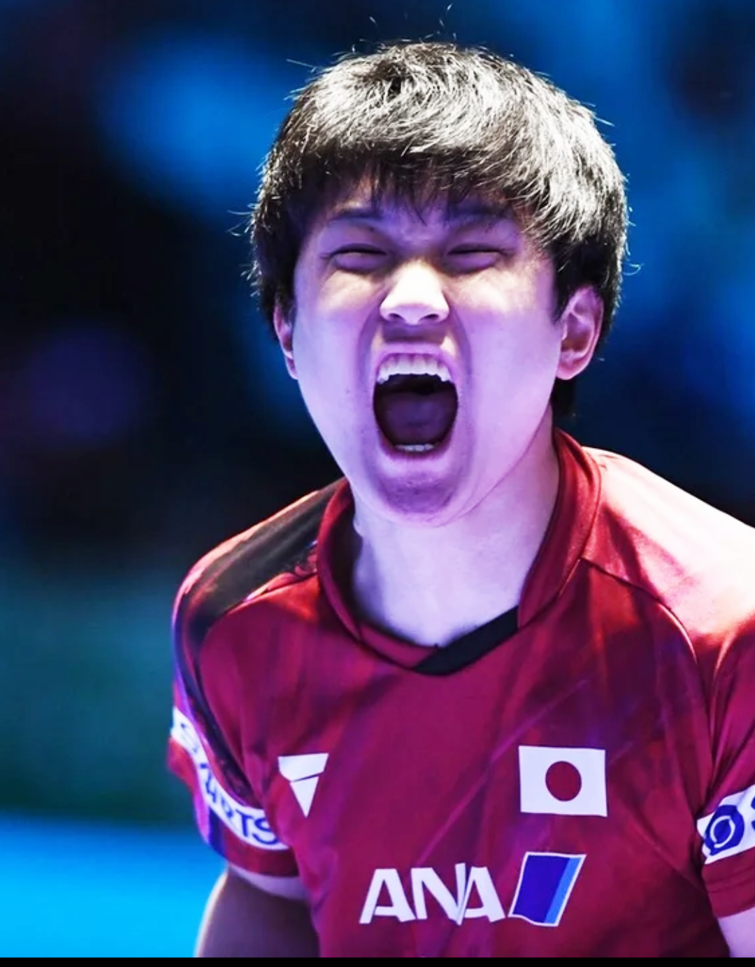 图片高清张本智和吼叫比赛视频张本智和的吼叫张本智和那标志性的怒吼