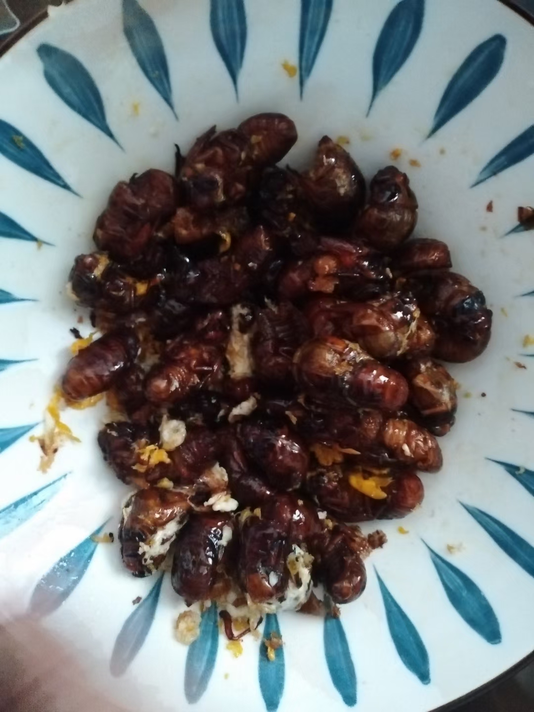 贪吃的小黄 昨天给老家打电话 爸爸说正在捉爬蚱