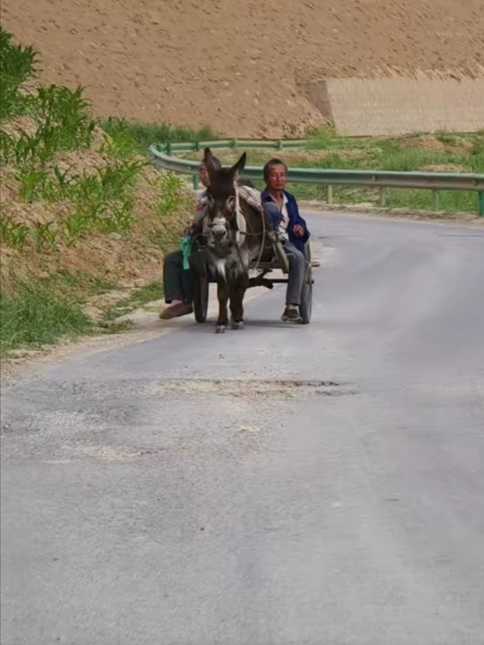 印象中,小时候这种驴车是我们的主要交通工具,无论是赶集还是走亲戚