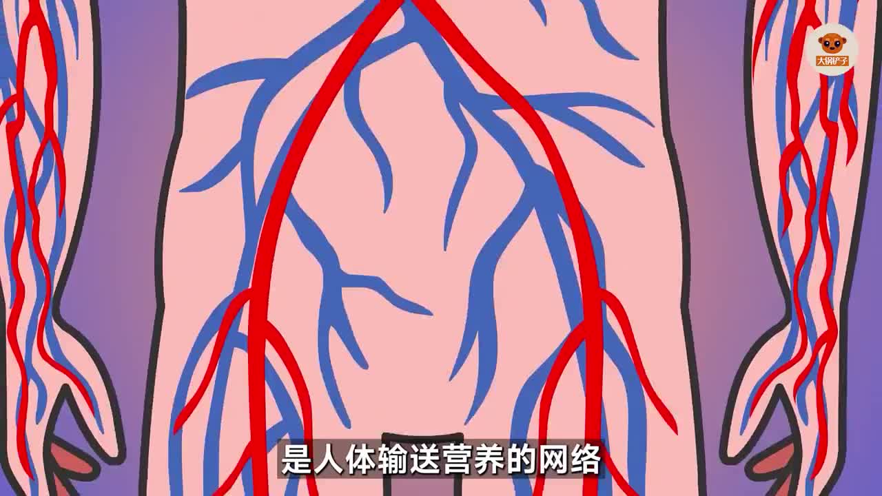 为什么血管看起来是蓝色的动画解读人体0帝豪
