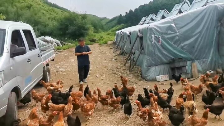 【美丽岫岩】记者在一线