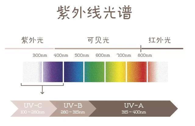 床上"螨虫成堆"?用这1个"土招":家里放个"它",螨虫"跑光了"