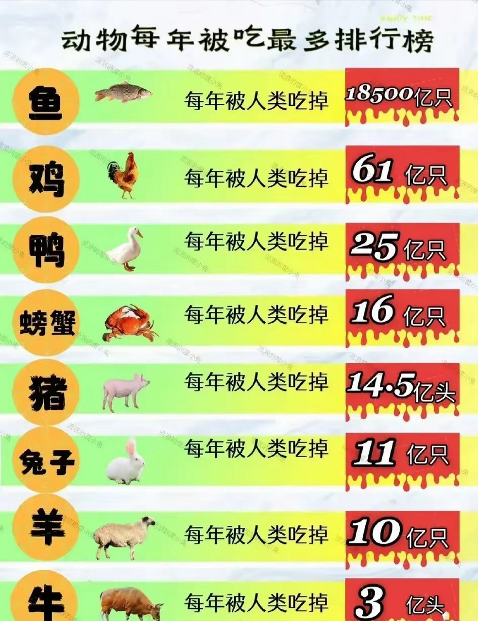 每年被吃掉最多的动物排行榜 67 鱼:每年被人类吃掉18500亿只 鸡