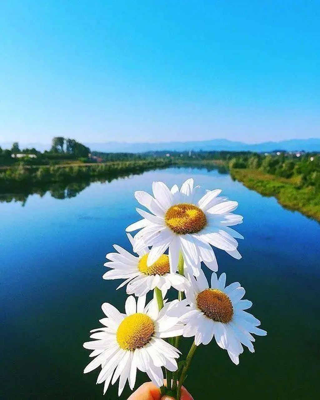 动态连更挑战#  02**风景如画,心如止水,美丽的心情让人心旷神怡**