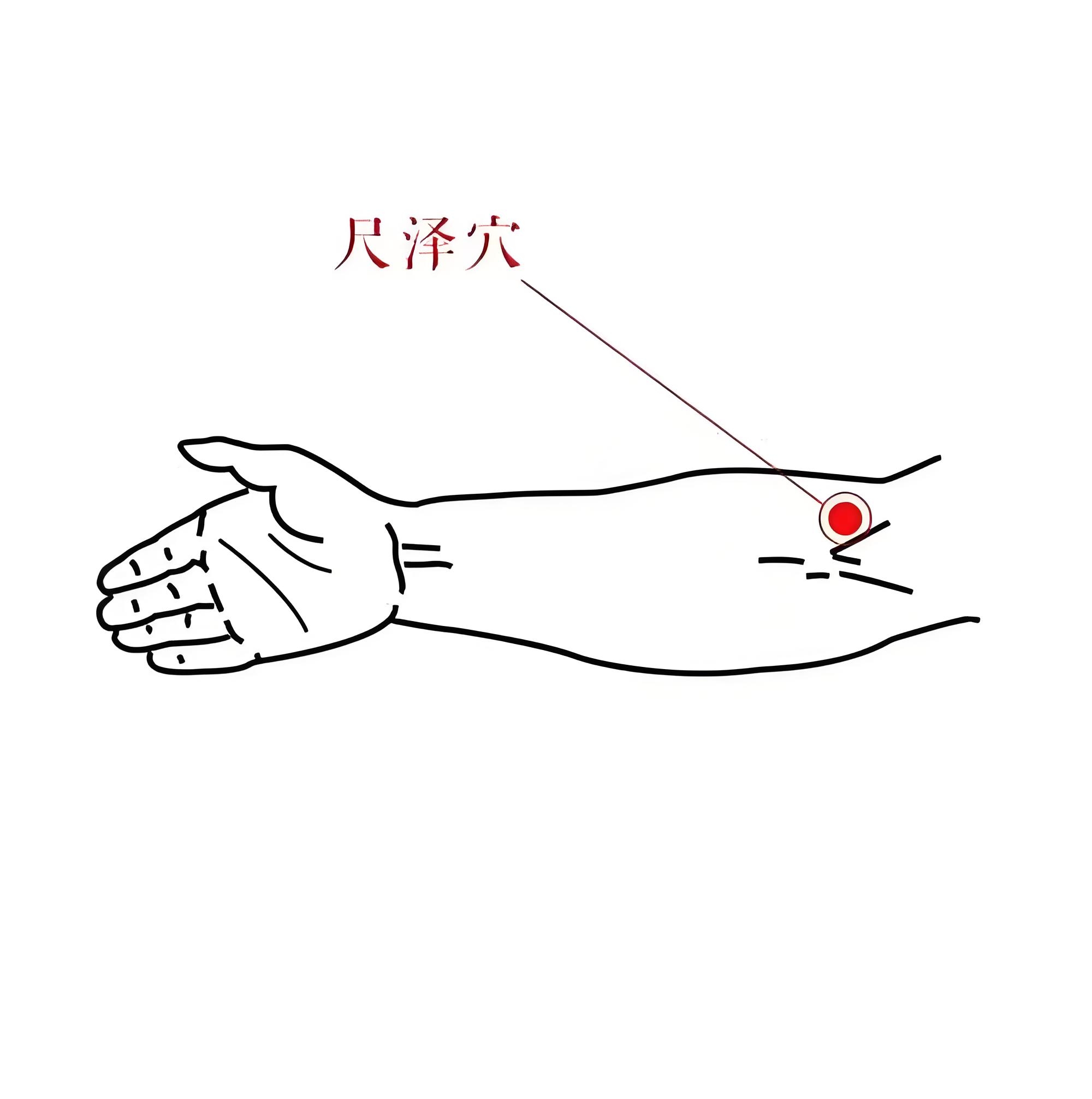 定位:在肘横纹,肱二头肌肌腱桡侧凹陷处